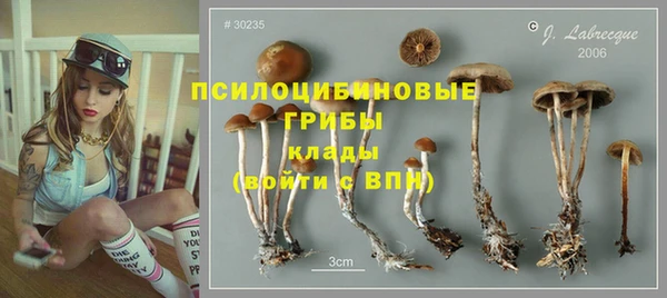 не бодяженный Сясьстрой