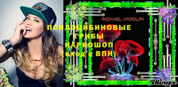 не бодяженный Сясьстрой