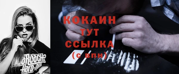 jwh Тайга
