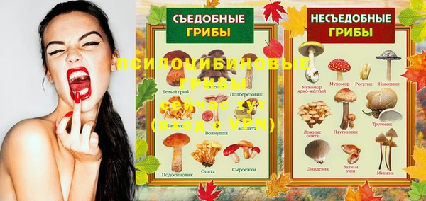 не бодяженный Сясьстрой