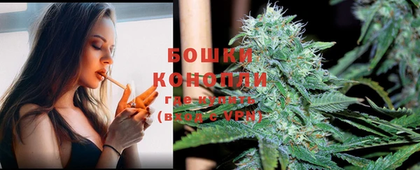 не бодяженный Сясьстрой
