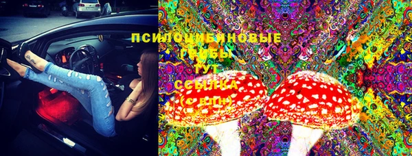 не бодяженный Сясьстрой
