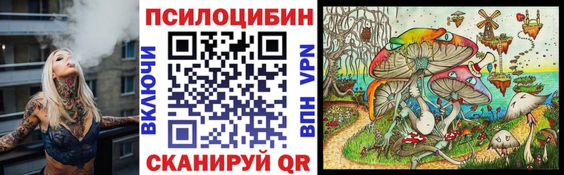 Купить  Сегежа  Галлюциногенные грибы мицелий 